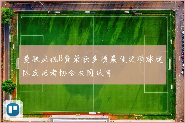 曼联庆祝B费荣获多项最佳奖项球迷队友记者协会共同认可