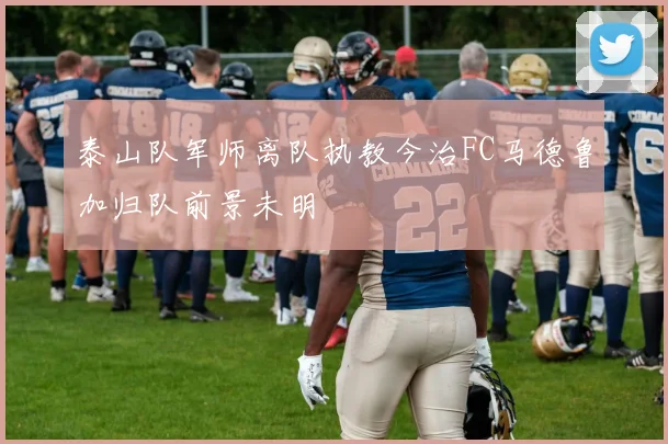泰山队军师离队执教今治FC马德鲁加归队前景未明