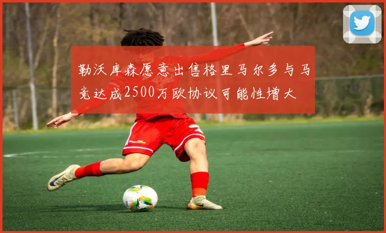 勒沃库森愿意出售格里马尔多与马竞达成2500万欧协议可能性增大