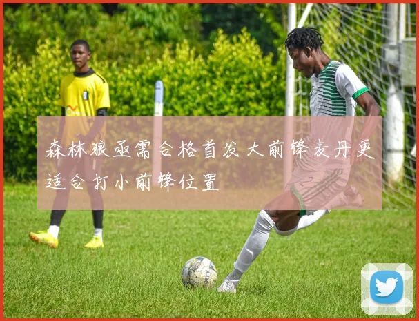 森林狼亟需合格首发大前锋麦丹更适合打小前锋位置