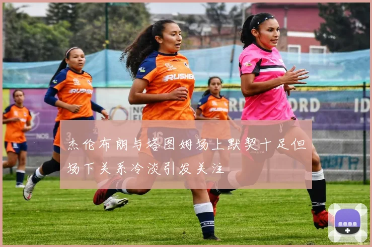 杰伦布朗与塔图姆场上默契十足但场下关系冷淡引发关注