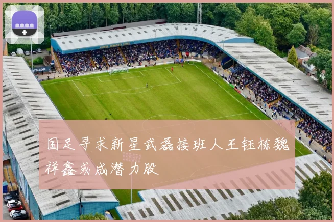 国足寻求新星武磊接班人王钰栋魏祥鑫或成潜力股